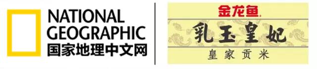 从厨房到餐桌里的美食,从市场到餐桌