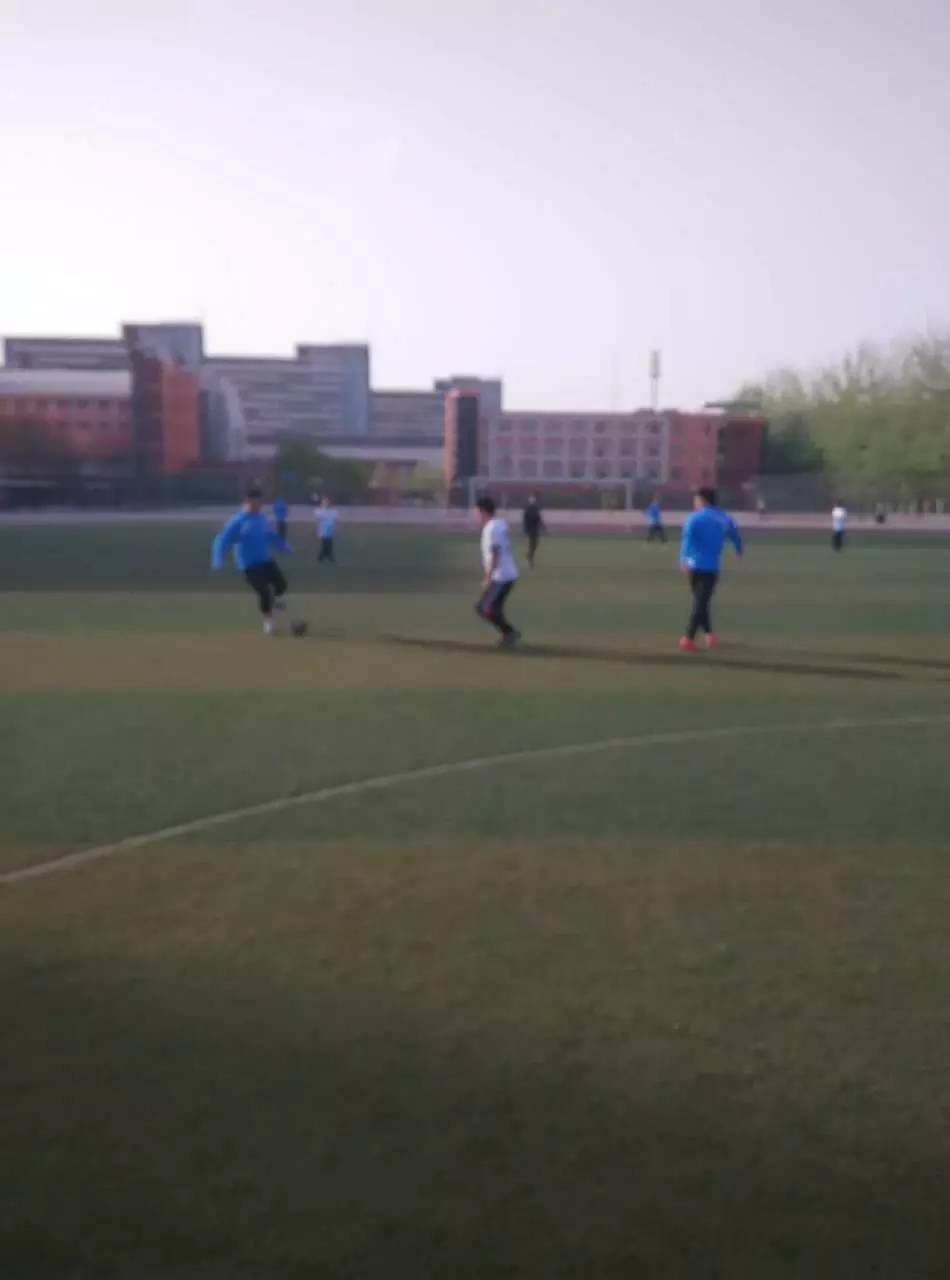 足球战报2019,足球新赛季战报