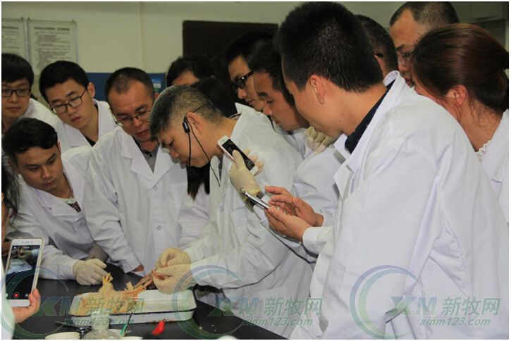 猪场驱虫有妙招--正典驱虫培训班吸引众多规模猪场参与