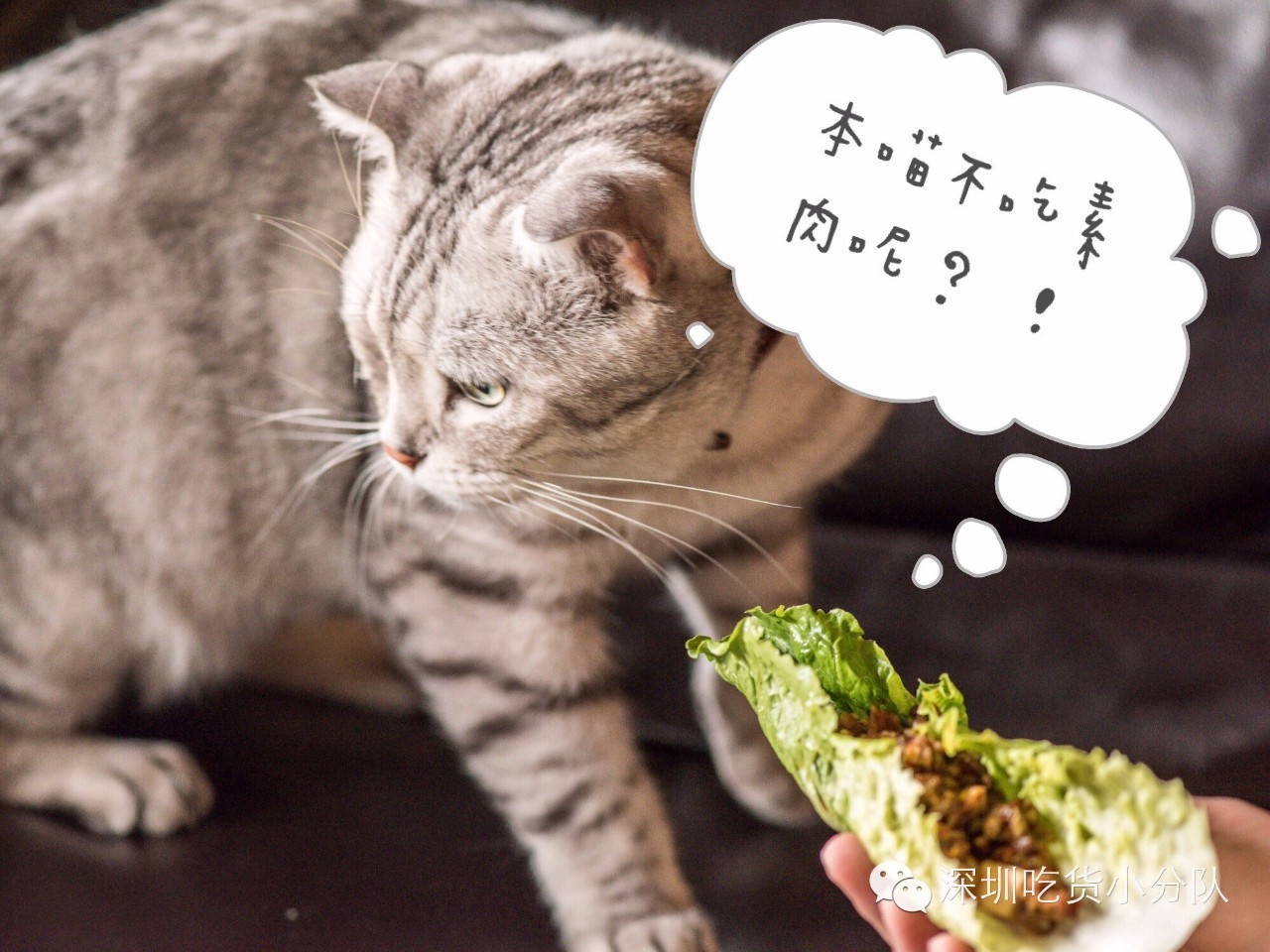 第3家店，但新来的两个男店长都不是人...