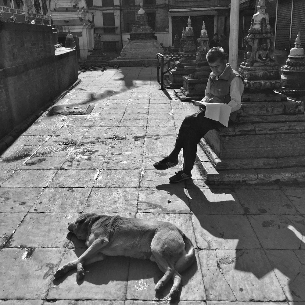 手机摄影如何拍出唯美感,手机摄影怎么拍出纵深感