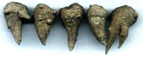 吉林市女子吞药身亡,吉林女子吃药身亡