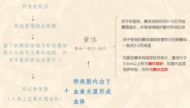 女性下腹疼痛是什么病,女性下腹疼痛的前兆