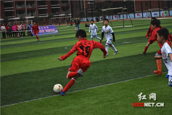 濞勫簳甯倁12瓒崇悆鑱旇禌,婀栧崡闀挎矙瓒崇悆鑱旇禌u9