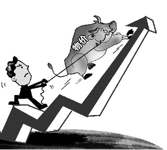 普陀山旅游攻略小红书,普陀山旅游攻略书籍