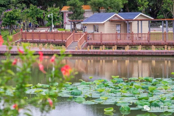 今天梅州会下暴雨吗,关注南方强降雨天气