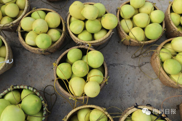 今天梅州会下暴雨吗,关注南方强降雨天气