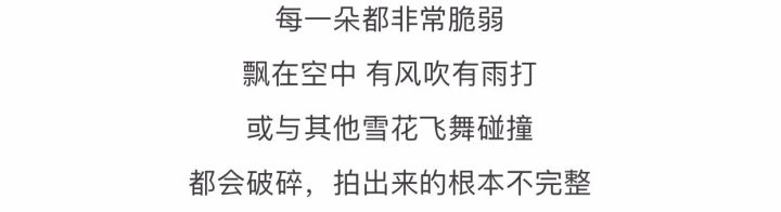 摄影最美人物照片,摄影人的第一张照片