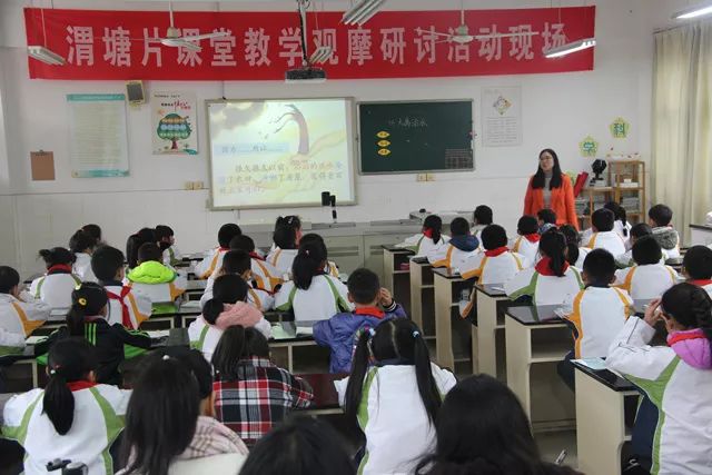 小学开展骨干教师公开课活动,开展青年教师公开课观摩活动