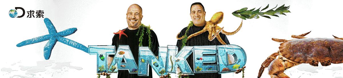 F1冠军车手酷炫技术晋级指南