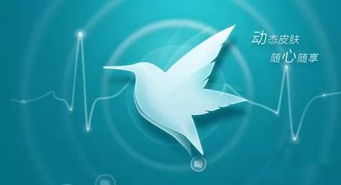 迅雷现状,迅雷为什么销声匿迹