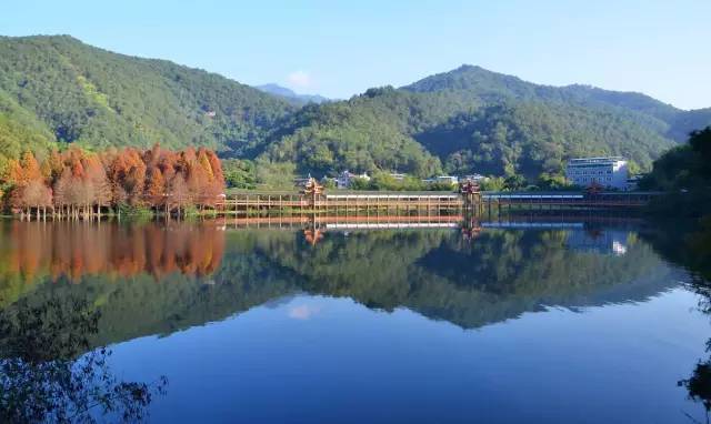 今天梅州会下暴雨吗,关注南方强降雨天气