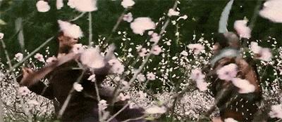 木兰刘亦菲完整版视频,木兰刘亦菲视频