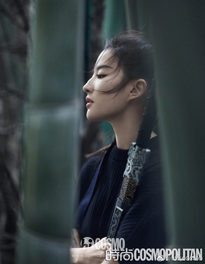 木兰刘亦菲完整版视频,木兰刘亦菲视频