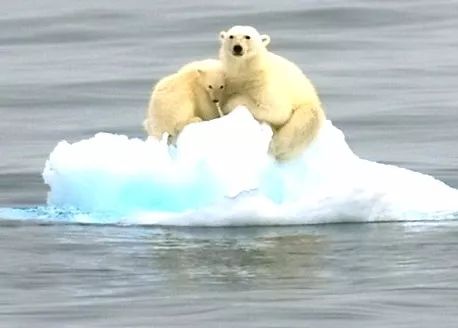 明天和意外谁会先来歌曲,明天和意外谁先到来永远无法预知