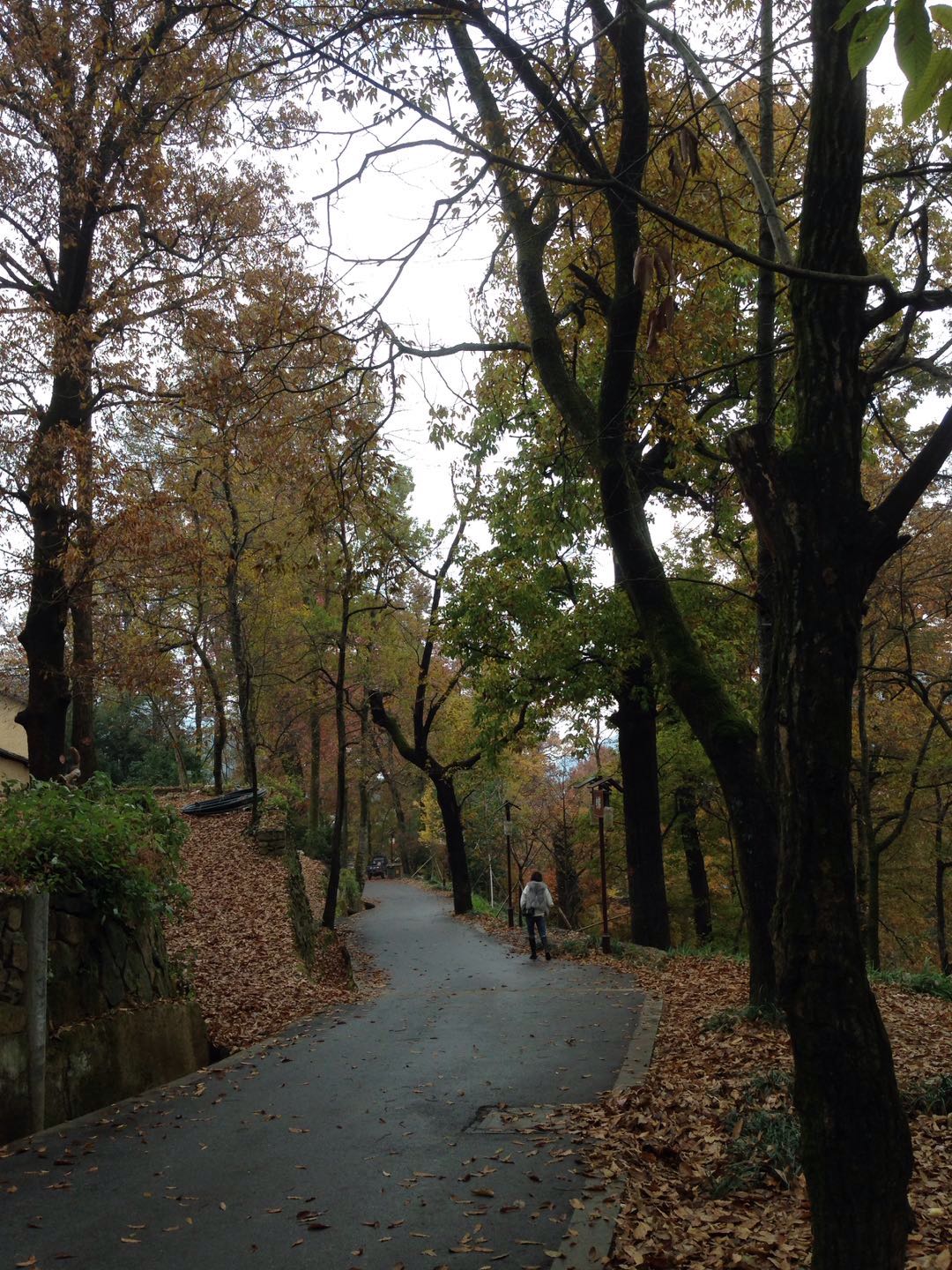 村民一年农家乐收入180万农民玩精品民宿一年100万，看看浙江“走进森林人家”采访活动你会吃惊