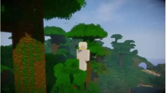 我的世界十大经典mod,我的世界十大难生存mod