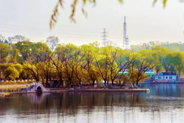 北京四个踏青必备的免费公园,北京小众湿地公园