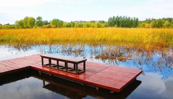 北京四个踏青必备的免费公园,北京小众湿地公园