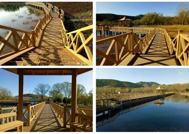 北京四个踏青必备的免费公园,北京小众湿地公园