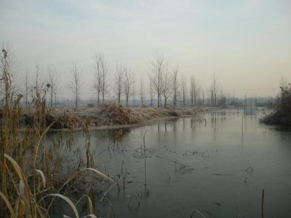 大条有二两，小的有五钱，这可是正宗的寒冬江鲫哟