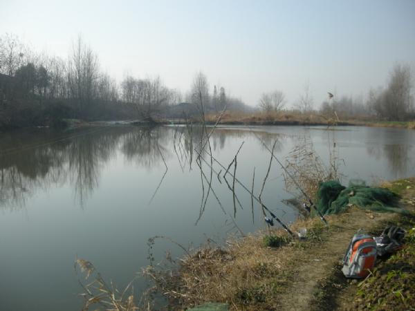 大条有二两，小的有五钱，这可是正宗的寒冬江鲫哟