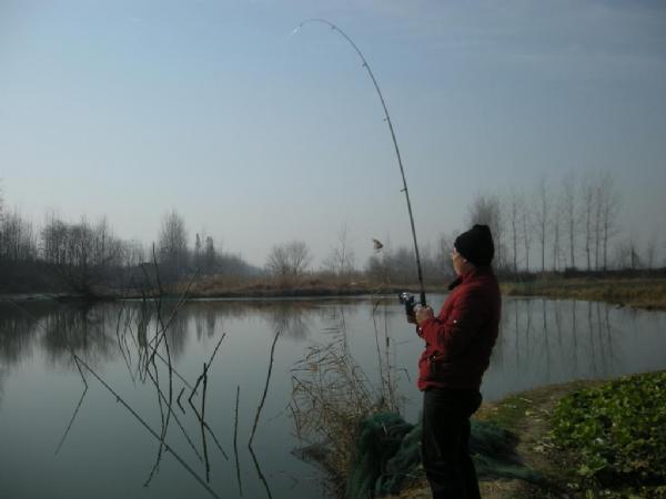 大条有二两，小的有五钱，这可是正宗的寒冬江鲫哟