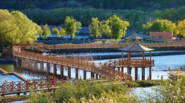 北京四个踏青必备的免费公园,北京小众湿地公园