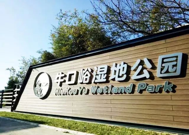 北京四个踏青必备的免费公园,北京小众湿地公园