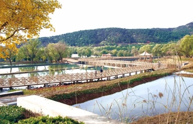 北京四个踏青必备的免费公园,北京小众湿地公园