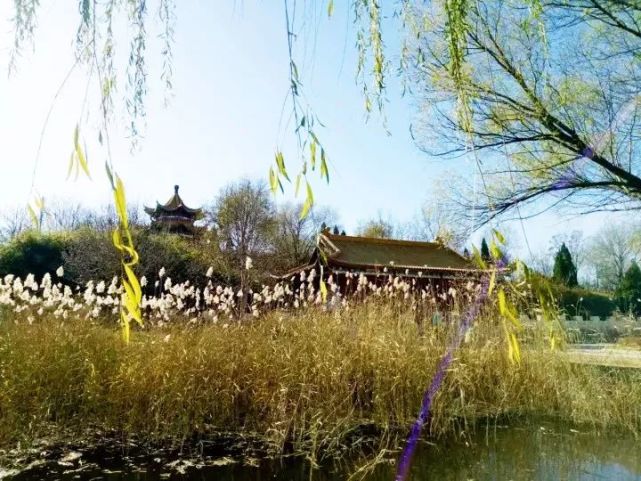 北京四个踏青必备的免费公园,北京小众湿地公园