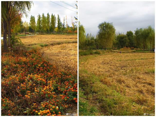 北京四个踏青必备的免费公园,北京小众湿地公园