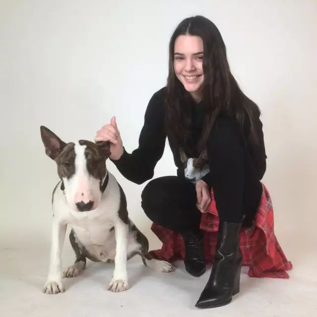 傲娇的老佛爷也要每天看Ta脸色