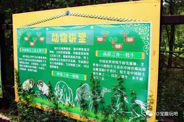 济南野生动物世界一日游自驾,济南野生动物世界一日游攻略