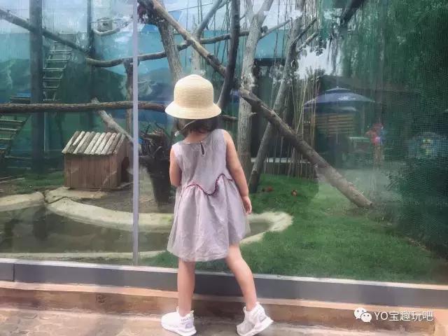 济南野生动物世界一日游自驾,济南野生动物世界一日游攻略