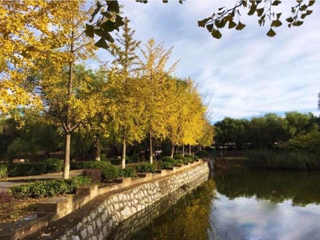 北京四个踏青必备的免费公园,北京小众湿地公园