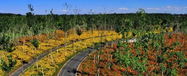 北京四个踏青必备的免费公园,北京小众湿地公园