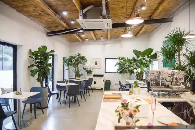 魔都旅游必吃餐厅,魔都10家高颜值餐厅