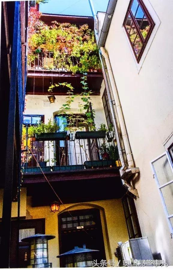 维也纳“希腊小馆——历史遗落在人间的备忘录