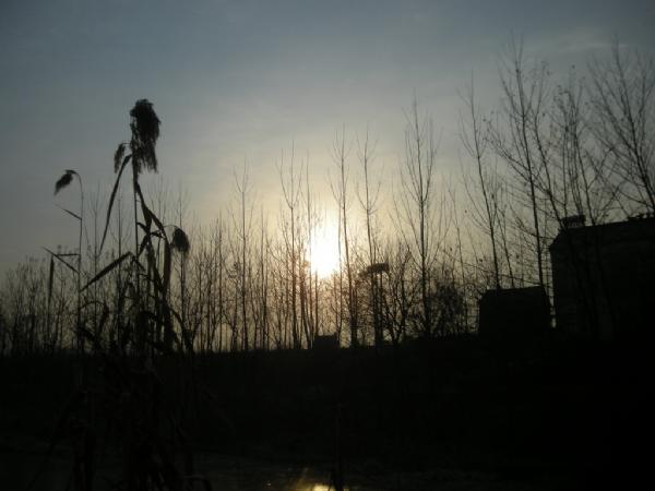 大条有二两，小的有五钱，这可是正宗的寒冬江鲫哟