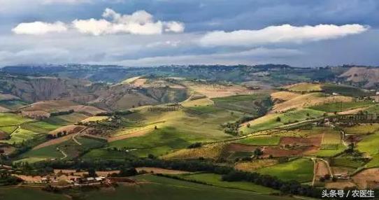 土地流转有没有赚到钱,现在的土地流转到底赚不赚钱