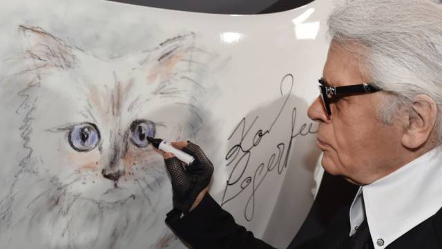 傲娇的老佛爷也要每天看Ta脸色