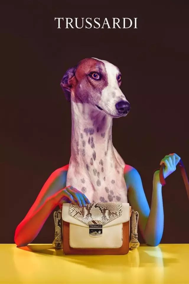 傲娇的老佛爷也要每天看Ta脸色