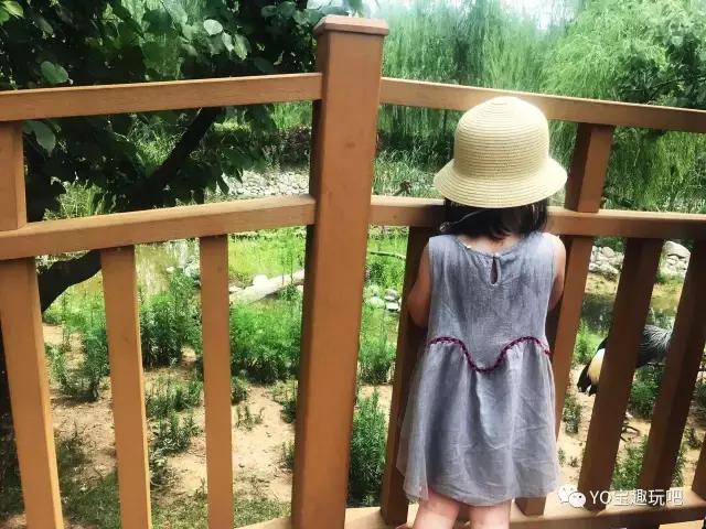 济南野生动物世界一日游自驾,济南野生动物世界一日游攻略