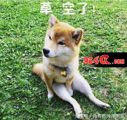 dnf鑱屼笟鎺掕2021楝兼常,dnf楝兼常鑱屼笟鐗瑰寲