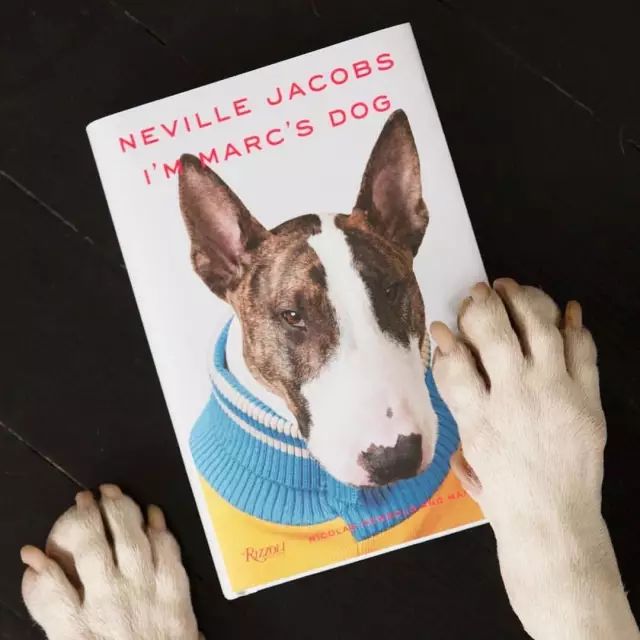 傲娇的老佛爷也要每天看Ta脸色