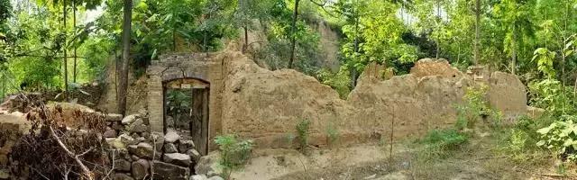 什么？在洞穴赏樱看雪学手艺？看她怎么把废弃洞穴改成浪漫居所