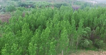 什么？在洞穴赏樱看雪学手艺？看她怎么把废弃洞穴改成浪漫居所