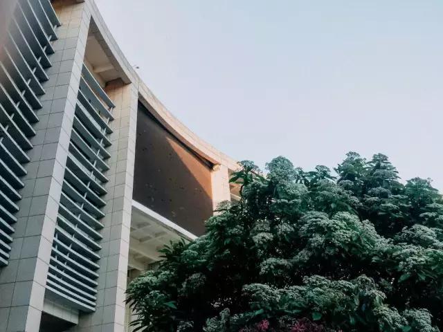 专业人士都看不懂一个段子,一些让人听不懂的专业