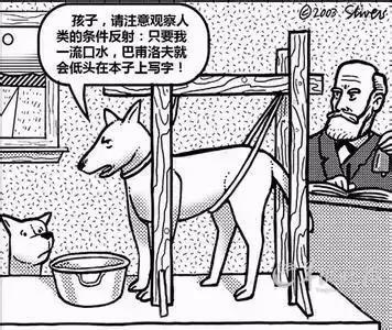 专业人士都看不懂一个段子,一些让人听不懂的专业